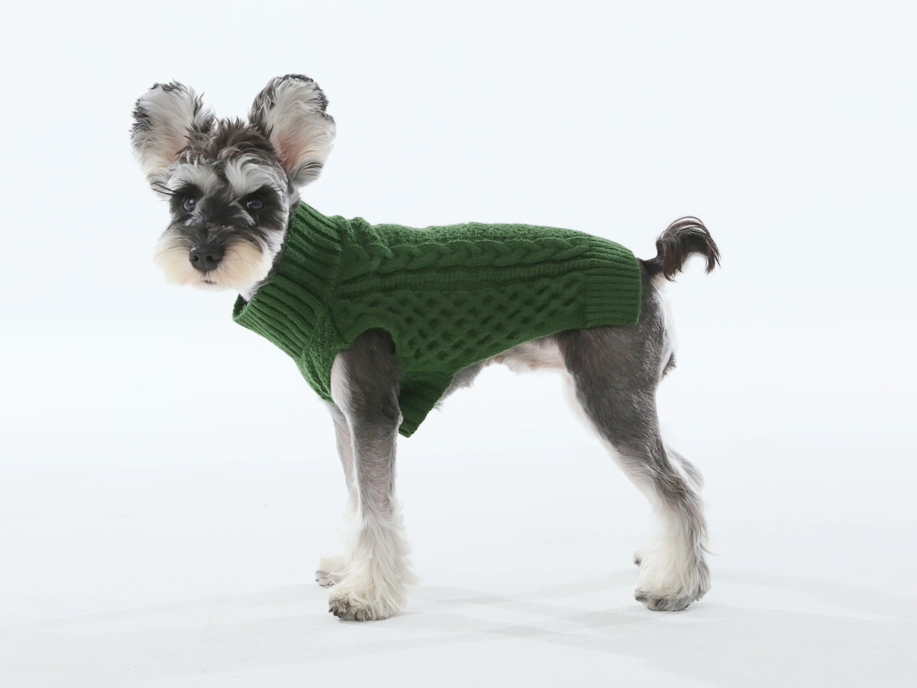 Pet Sweater Vest - Green