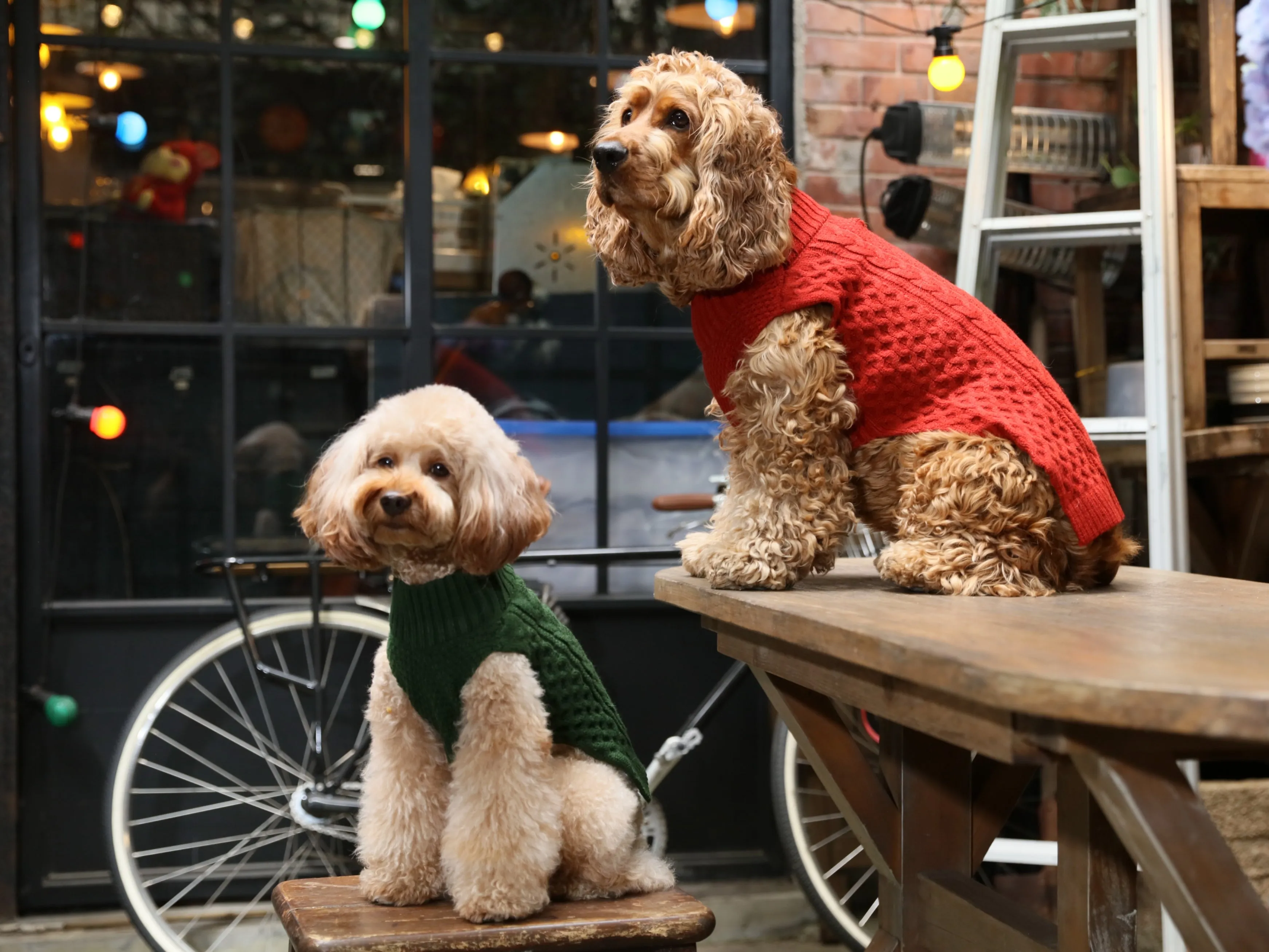 Pet Sweater Vest - Green